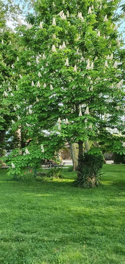 B&B Le Domaine Des Marcoujans Saint-Elix-le-Chateau Εξωτερικό φωτογραφία